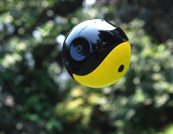 Squito prototype camera ball, US Patent 8237787