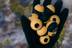 Squito prototype camera ball, US Patent 8237787